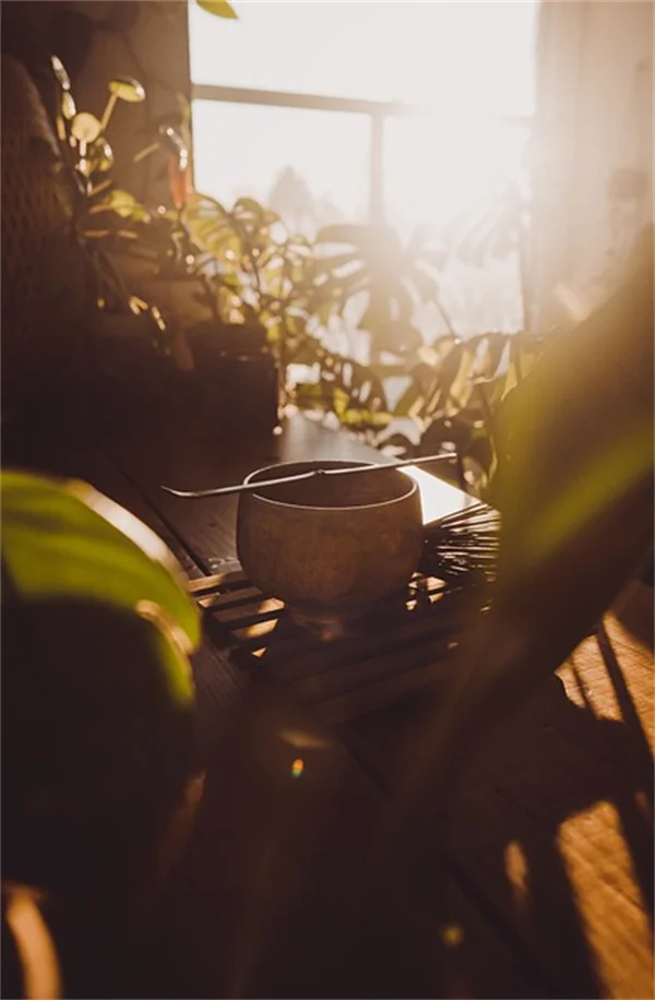 蛇が嫌う植物を植えたら効果あり！実際に試した○○と庭づくりのコツ