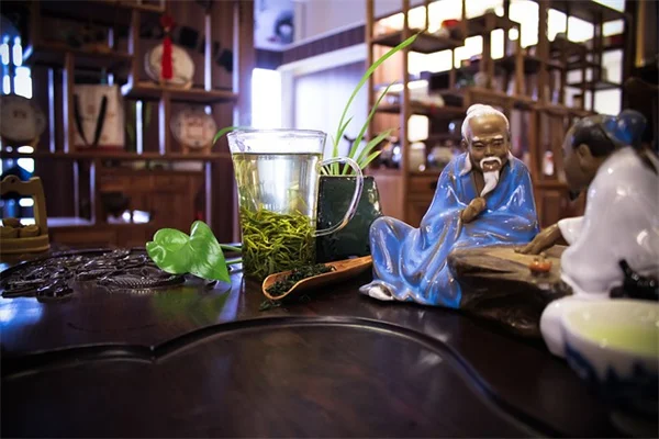 アロエドレンチで観葉植物を元気にする方法！自宅で10分で作る簡単レシピ
