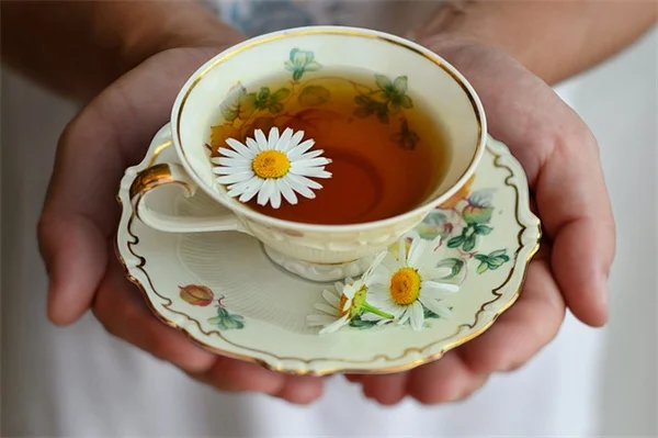 数週間で花が咲く！5月までにまくべき早咲きの花6選