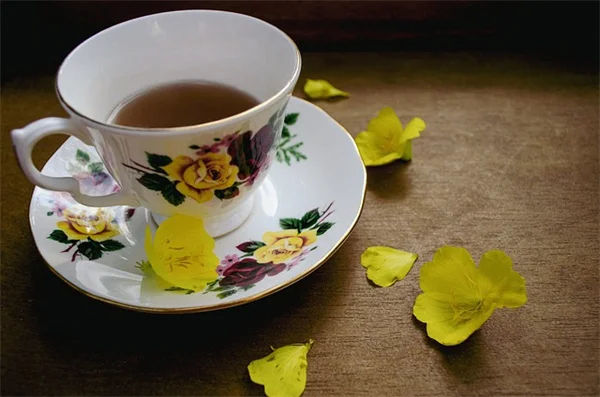 アジサイが茶色くなる？私が実践してきた復活方法
