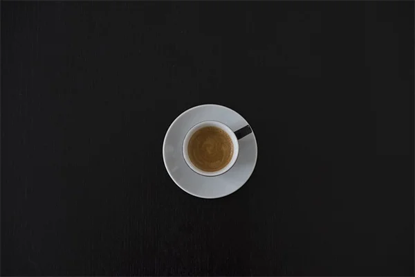室内育苗を成功させる7ステップ 初心者でも簡単にできる種まきのコツ
