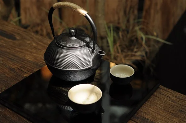虹彩効果のある植物の育て方完全ガイド！初心者でも失敗しない5つのコツ